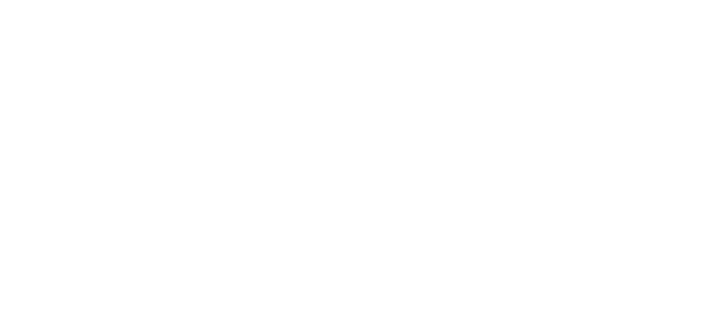 Logo ANM